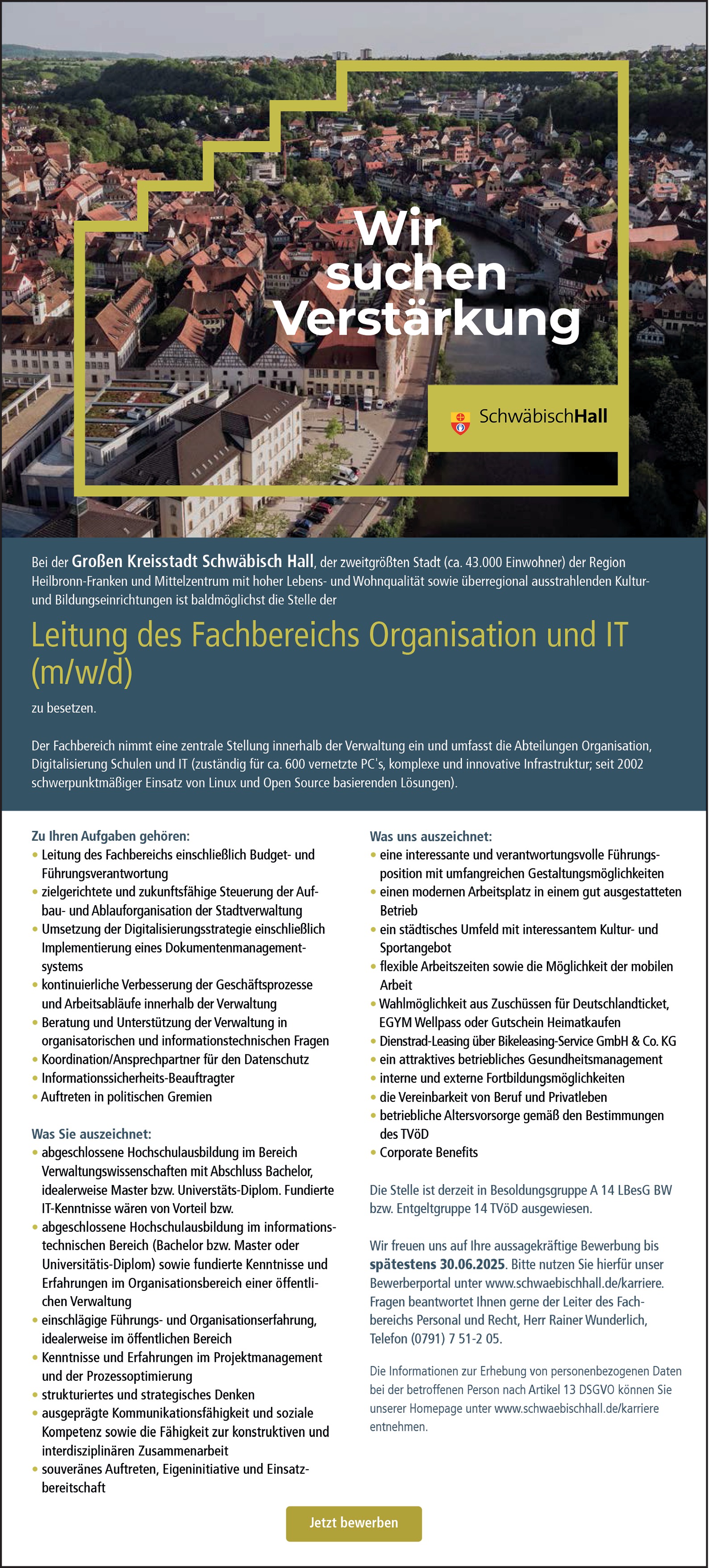 Leitung des Fachbereichs Organisation und IT (m/w/d)
