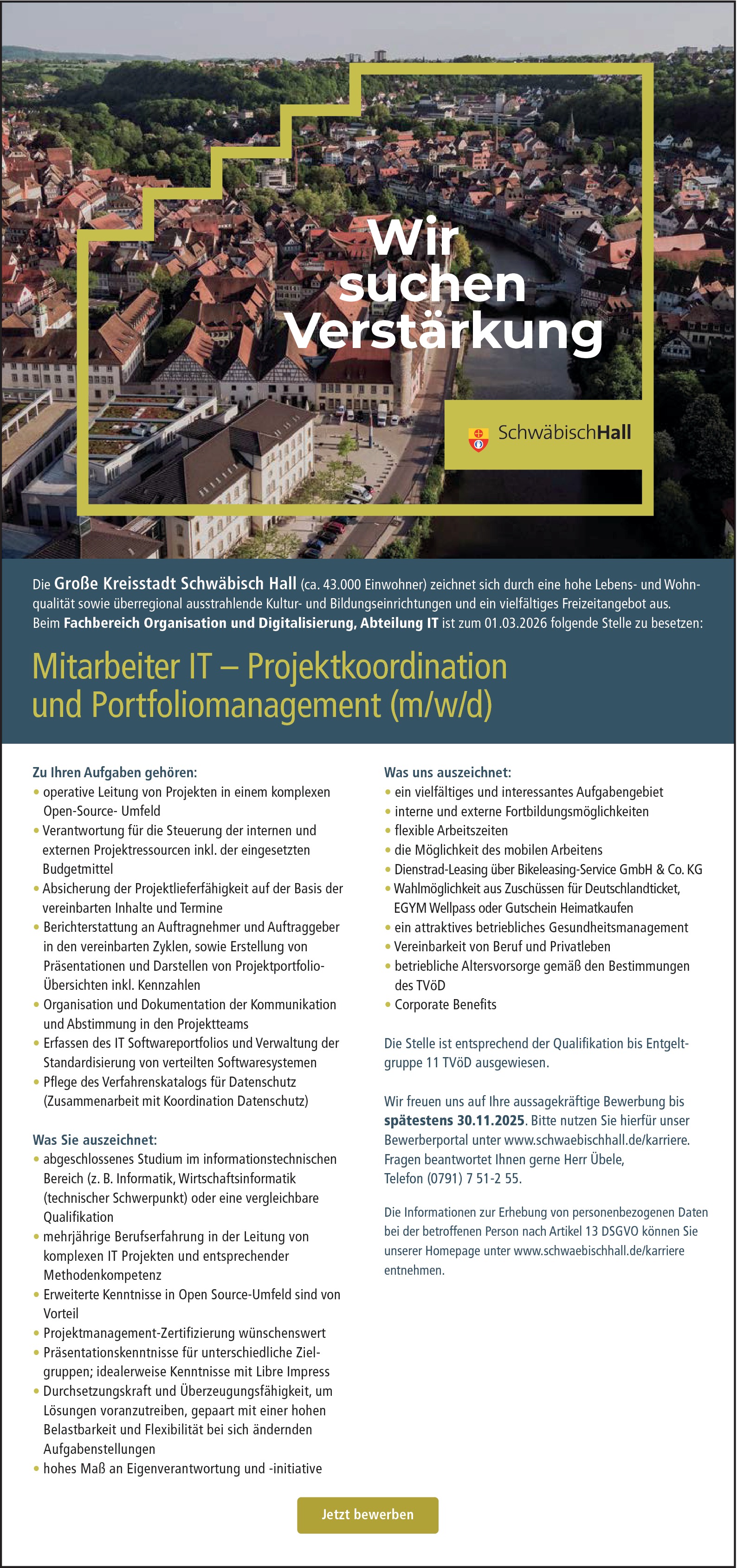 IT - Projektkoordinator / Portfoliomanager (m/w/d)