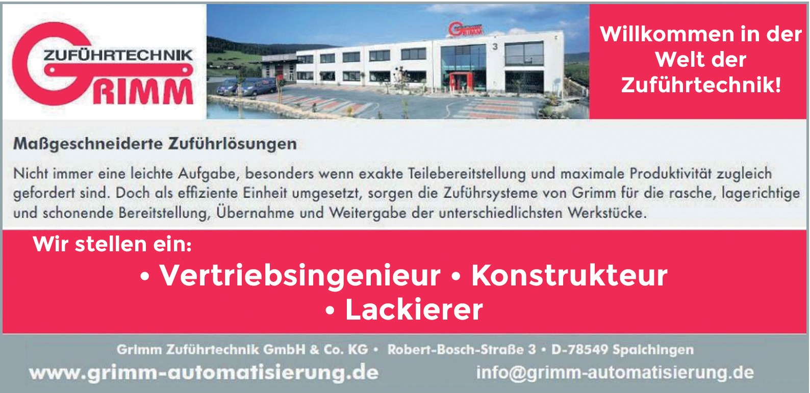 Vertriebsingenieur / Konstrukteur / Lackierer m/w/d